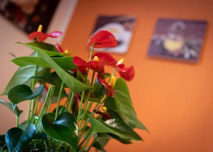 Casa Martina- Airport Free Shuttle-h24