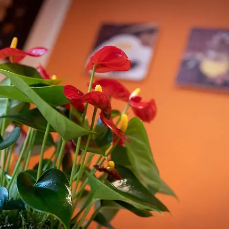 Casa Martina- Airport Free Shuttle-h24